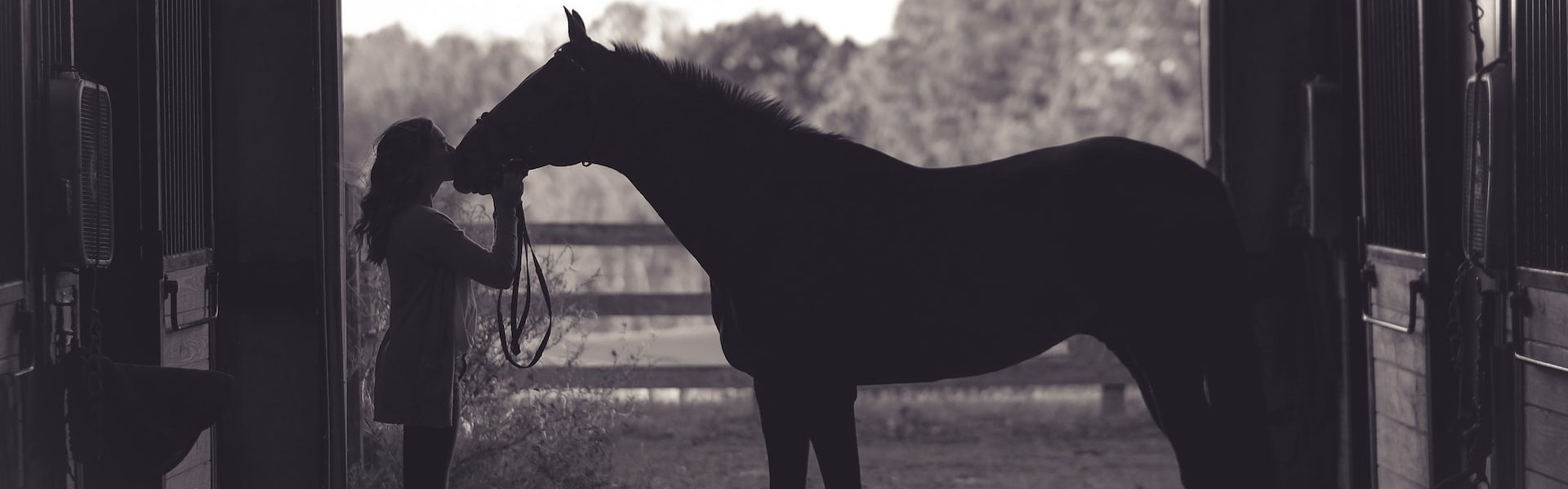 L'environnement et l'équitation