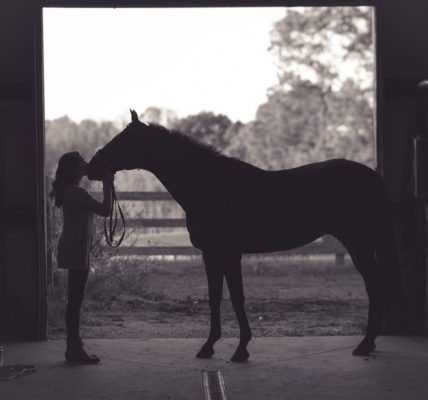 L'environnement et l'équitation