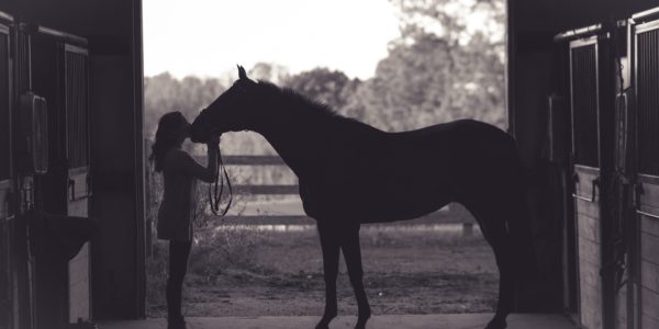 L'environnement et l'équitation